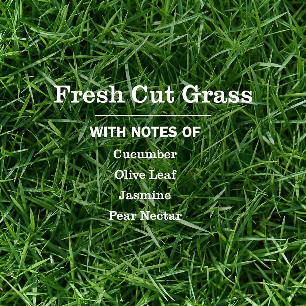 Fresh Cut Grass Plug In Scented Oil Refill. 2-Pack - Image 4