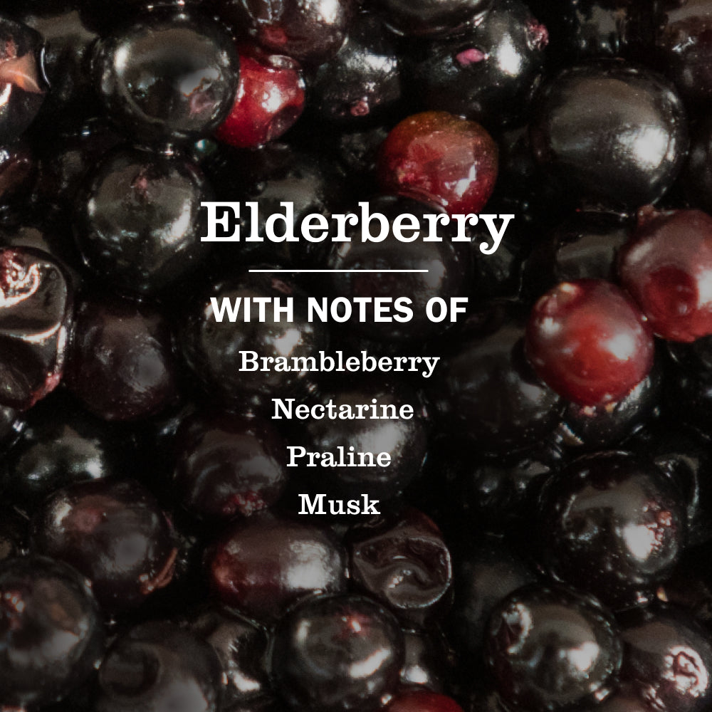Elderberry Liquid Hand Soap - Image 4