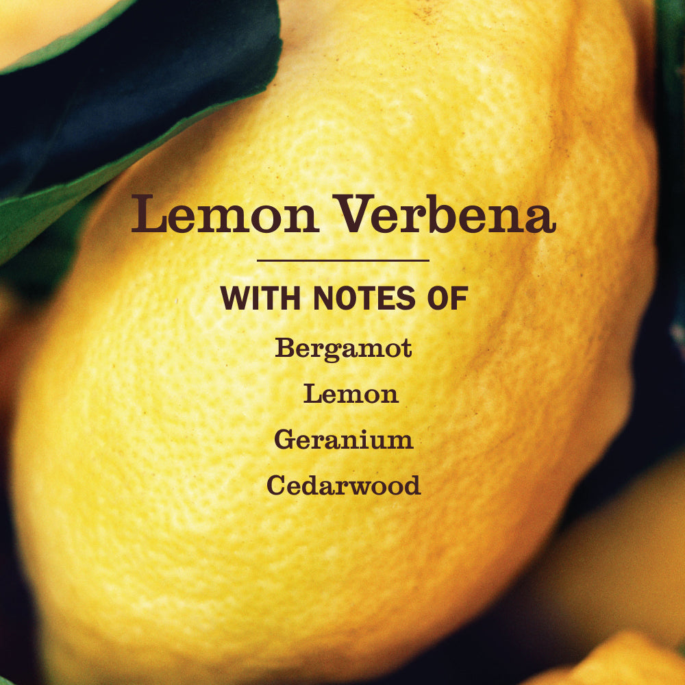 Lemon Verbena Glass Cleaner - Image 4