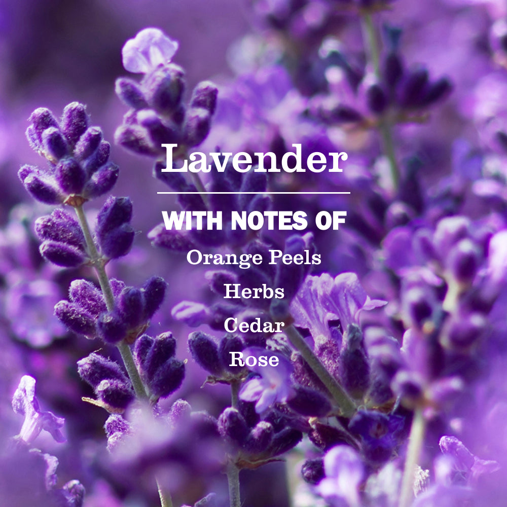 Lavender Glass Cleaner - Image 4