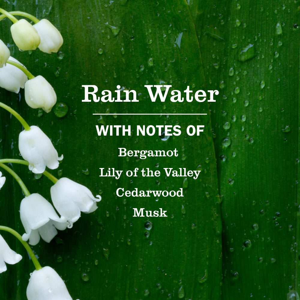 Rain Water Liquid Hand Soap Refill - Image 4